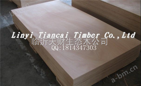 临沂zui的胶合板价格、规格和型号，天财木业集团